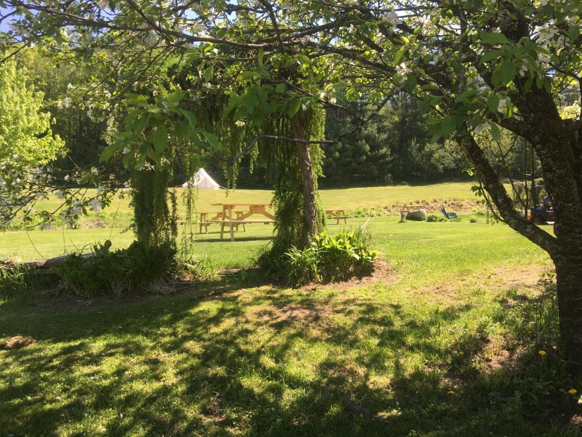 Craftsbury Farmhouse エクステリア 写真